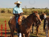 APAE de Maracaju e Comitiva Serra de Maracaju na 2ª Cavalgada APAEXONADOS