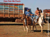 APAE de Maracaju e Comitiva Serra de Maracaju na 2ª Cavalgada APAEXONADOS