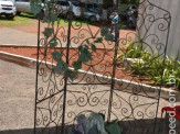 Almoço beneficente em prol da Casa de Esperança Amanda e Lara - 2015