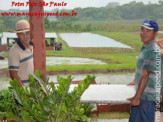 Noivado de Danilo e Marita - Fazenda Deserto