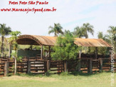 Aniversário de Antônio Alves Correa (33)