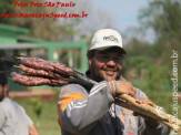 Aniversário de Antônio Alves Correa (33)