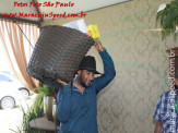 Aniversário de Antônio Alves Correa (33)