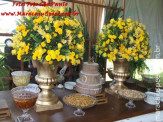 Aniversário de Antônio Alves Correa (33)