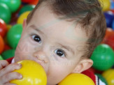 Aniversário de 1 ano de Thomaz Gamba Corrêa 