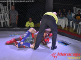 Evento de MMA "DFC - Dragon Fight Champions"