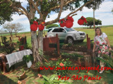 Aniversário Aurea 60 anos