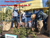 Maracaju: Desfile Cívico - 99º Aniversário de Maracaju