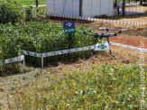 Drone pode trazer economia de insumos no campo e aumento da produtividade