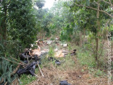 MST/MS denúncia truculência em desocupação de acampamento em Sidrolândia