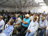 Maracaju: Sistema de produção bem manejado suporta mais as condições adversas