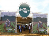 Parceria Público-Privada  no agronegócio é destacada no Showtec