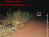 Maracaju: Motociclista morre após invadir pista na BR-267 e ser atingido por carreta