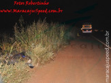 Maracaju: Motociclista morre após invadir pista na BR-267 e ser atingido por carreta