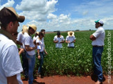 Maracaju recebeu visita de acadêmicos da USP que desenvolvem projeto Expedição Cerrado
