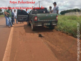 Maracaju: Grave acidente na BR-267 resulta em motociclista com traumatismo craniano