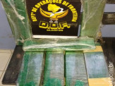 DOF apreende quatorze quilos de maconha em ônibus na região de Amambaí