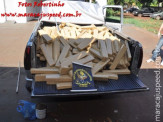 Maracaju: DOF apreende caminhonete Silverado com 534 quilos de maconha e 1 quilo de haxixe em motel