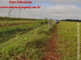 Maracaju: Condutora perde controle de veículo e capota na MS 162