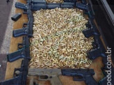PRF realiza apreensão de 16 pistolas da marca Glock e munições na Ponte Ayrton Senna em Guaíra/PR