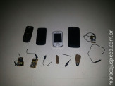 Gato é apreendido transportando celulares em presídio na Paraíba