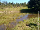 PMA autua agricultor em R$ 10 mil por criar gado degradando nascentes e em margem de via férrea