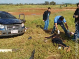 Quatro pessoas são executadas a tiros por pistoleiros na Rodovia MS-164 que liga a Maracaju