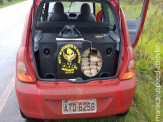 Mulher é presa pelo DOF em Dourados, após furar bloqueio policial com mais de 350 kg de maconha 