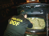 Maracaju:Tenente do DOF é atropelado em grande apreensão de maconha e armamento
