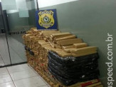 Durante fiscalização no final de semana, PRF apreende quase 3 toneladas de maconha