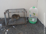 PMA e Polícia Civil prende jovem e o autua em R$ 10,5 mil por manter animais silvestres em cativeiro