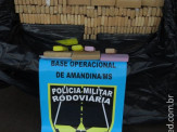 PRE apreende 1 tonelada e meia de maconha na MS 276