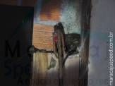 Maracaju: Bombeiros capturam gambá no interior do depósito do antigo Clube Imaginário