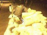 800 KG de agrotóxicos contrabandeados são apreendidos pela PRF
