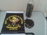 DOF prende campo-grandense em Bonito/MS com 300 quilos de maconha e mais de 1 kg de haxixe