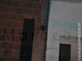 Maracaju: Bombeiros capturam gambá no interior do depósito do antigo Clube Imaginário
