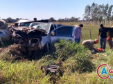 Grave acidente entre carreta e camionete deixa duas vítimas