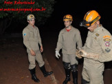 Maracaju: Roedor é encontrado por moradora dentro de quintal de residência