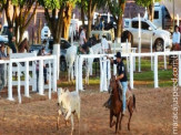 12ª Etapa da Festa do Laço acontece neste final de semana em Maracaju