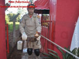 Bombeiros de Maracaju capturam Jacaré em pátio de empresa na Av. Marechal Floriano Peixoto