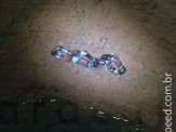 Maracaju: Corpo de Bombeiros captura cobra coral em parede de poço de água no Bairro Biquinha
