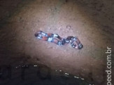 Maracaju: Corpo de Bombeiros captura cobra coral em parede de poço de água no Bairro Biquinha