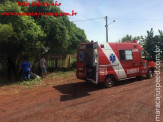 Maracaju: Corpo de Bombeiros atendem duas ocorrências de capturas de cobra Sucuri e Jiboia