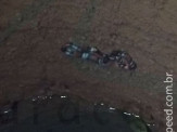 Maracaju: Corpo de Bombeiros captura cobra coral em parede de poço de água no Bairro Biquinha