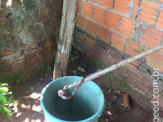 Maracaju: Corpo de Bombeiros captura cobra coral em parede de poço de água no Bairro Biquinha