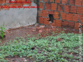Maracaju: Moradores de bairros e vilas sofrem com intensas chuvas e clamam por solução por parte do executivo