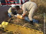 Bombeiros de Maracaju atendem ocorrência de queda de motociclista, e encontra cobra Jiboia enrolada em moto