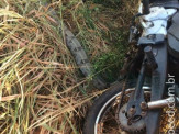 Bombeiros de Maracaju atendem ocorrência de queda de motociclista, e encontra cobra Jiboia enrolada em moto