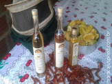 Nas Olimpíadas, Maracaju, Terenos e Naviraí representam a força da agricultura familiar de MS