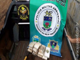 Operação conjunta DOF/ PMA culmina na apreensão de cocaína, veículos e uma arma de fogo em Miranda